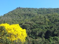 Beautés naturelles