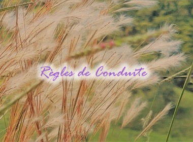 Règles de Conduite