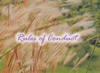 Rules of Conduct